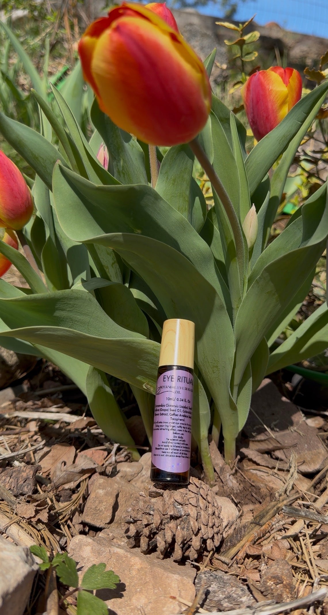 Eye Ritual – Natura Eterna